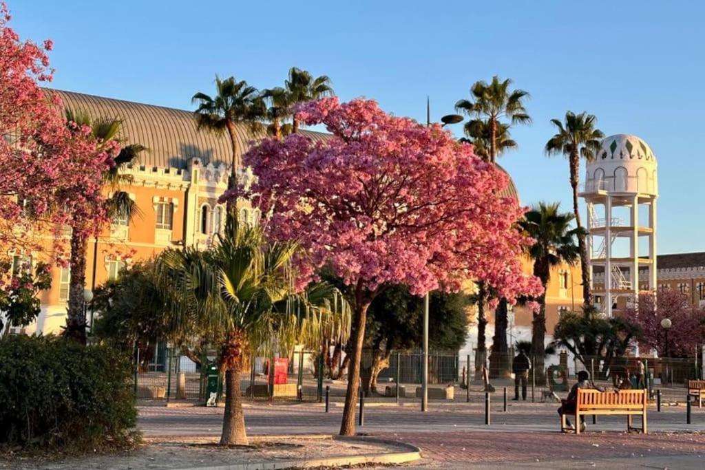 Apartamento Jacaranda Murcia Exterior photo